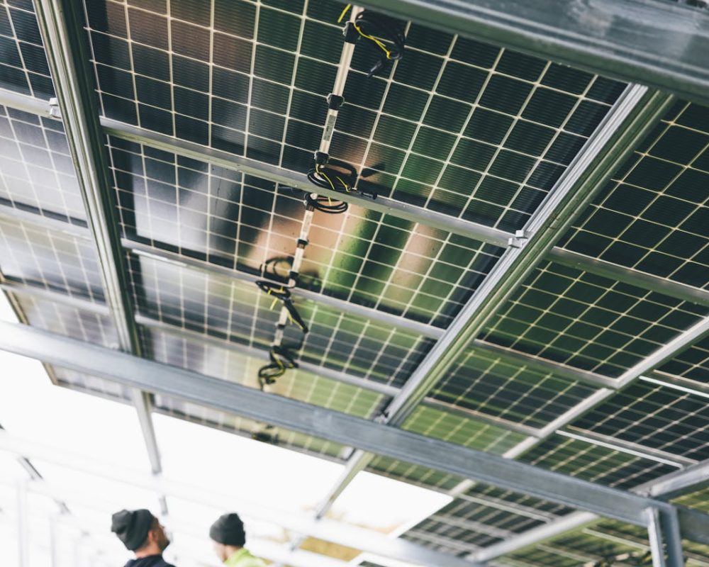 pexels-markus-spiske-14384697(1)